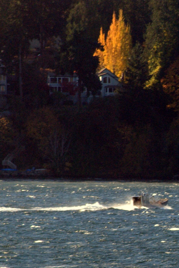 fishing-boat-1