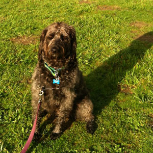 04-01-15 Zooey in the Park